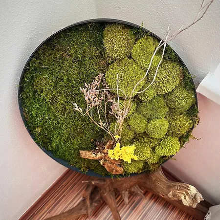 Διαμέρισμα S Terasou Jako Doma I Mimo Domov Τσέσκε Μπουντεγιόβιτσε