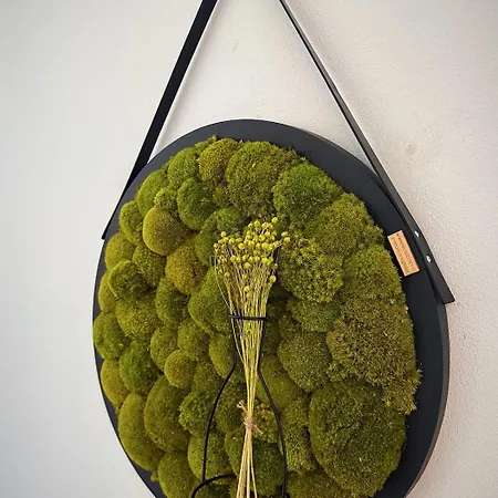 Apartment S Terasou Jako Doma I Mimo Domov Budweis