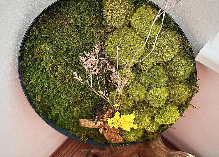 아파트 Slunecny S Terasou Jako Doma I Mimo Domov 체스케부데요비체