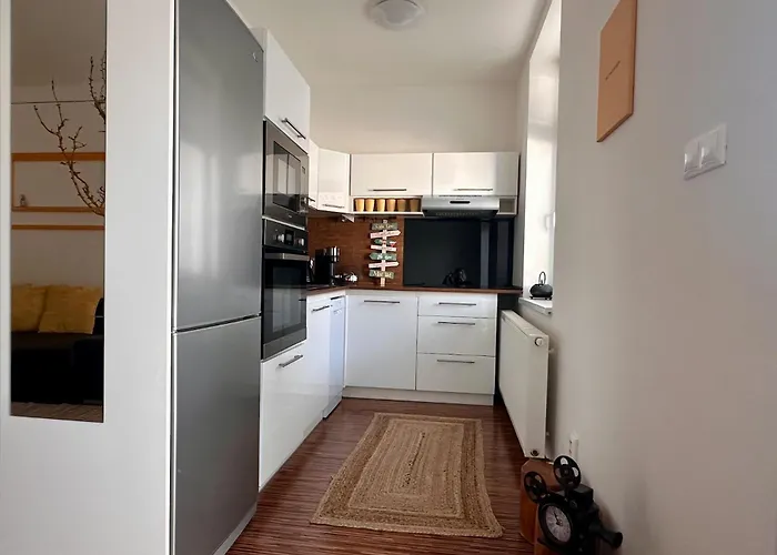 Slunecny S Terasou Jako Doma I Mimo Domov 체스케부데요비체